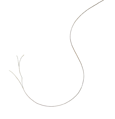 yaro shon neils splitting hair detail